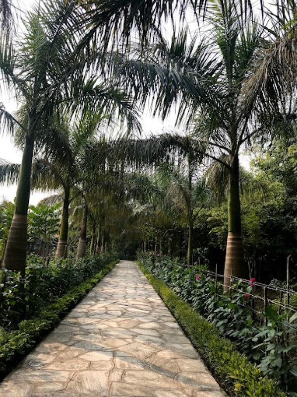 Center Park Resort