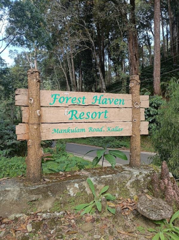 Forest Haven Resort