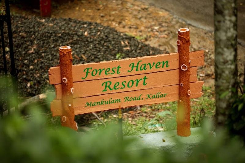 Forest Haven Resort