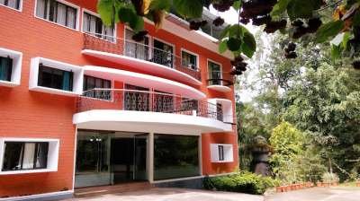 Forest Haven Resort