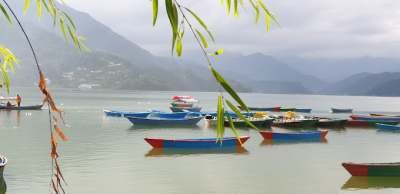 White Pearl Pokhara