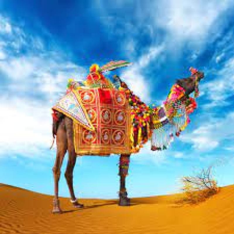 Rajasthan 4 Nights  5 Days 